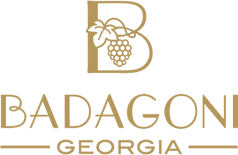 Badagoni